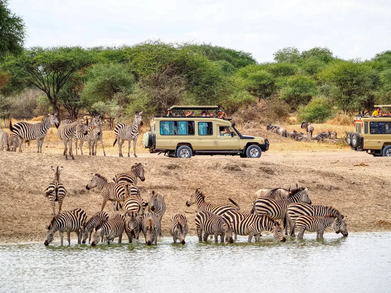 Game Park Tours & Gorilla Trekking